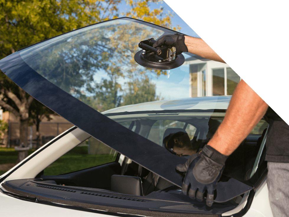 windshield replacement and window regulator san diego